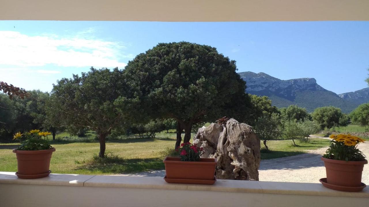 Vistamare Villa Orosei Exteriör bild