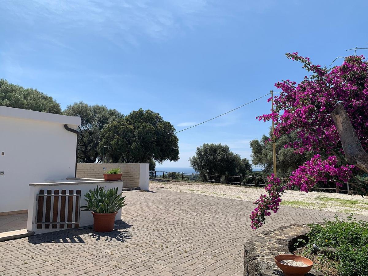 Vistamare Villa Orosei Exteriör bild